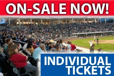 2013 Individual Tickets On Sale